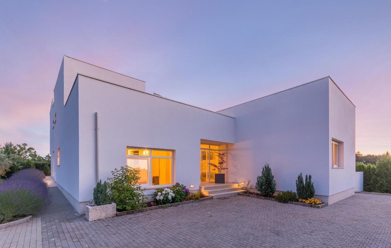 Villa Kate Istria Žminj المظهر الخارجي الصورة