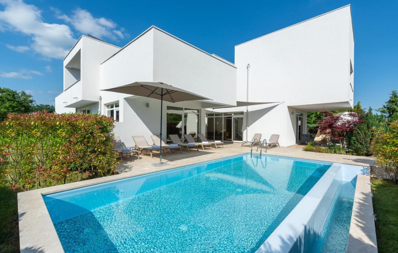 Villa Kate Istria Žminj المظهر الخارجي الصورة