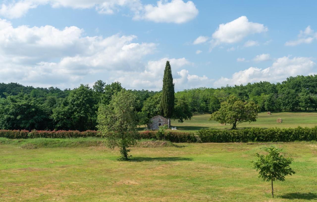 Villa Kate Istria Žminj المظهر الخارجي الصورة