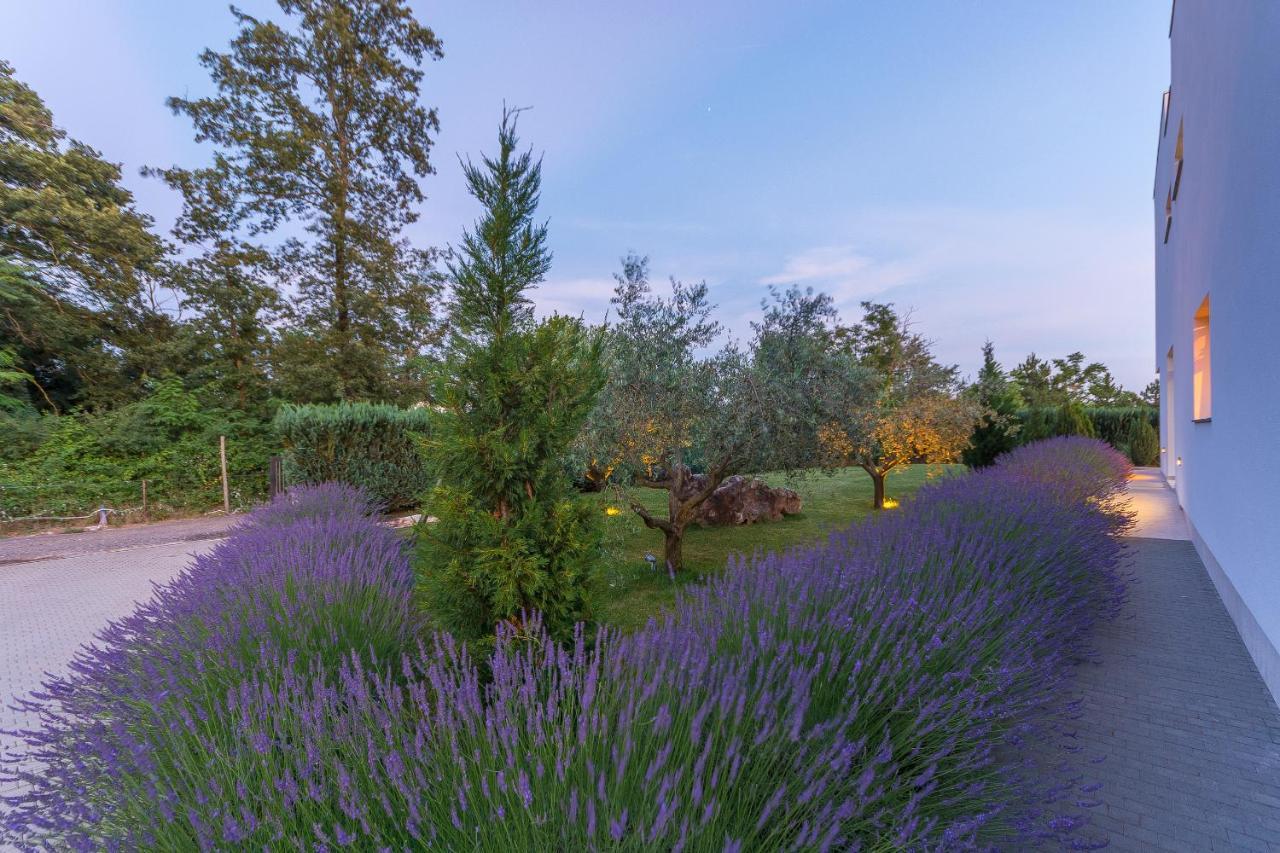 Villa Kate Istria Žminj المظهر الخارجي الصورة